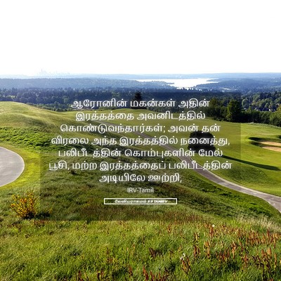 Picture 05 - லேவியராகமம் 9:9 TAMIRV - ஆரோனின் மகன்கள் - Bible Verse Picture