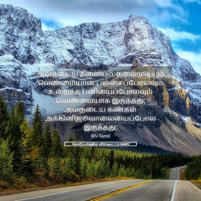 Picture 05 - வெளிப்படுத்தின விசேஷம் 1:14 TAMIRV - அவருடைய தலையும், - Bible Verse Picture