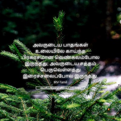Picture 05 - வெளிப்படுத்தின விசேஷம் 1:15 TAMIRV - அவருடைய பாதங்கள் - Bible Verse Picture