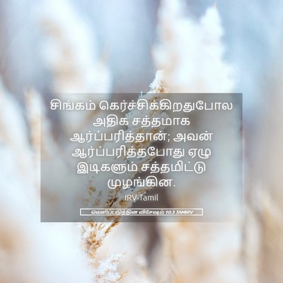 Picture 05 - வெளிப்படுத்தின விசேஷம் 10:3 TAMIRV - சிங்கம் - Bible Verse Picture