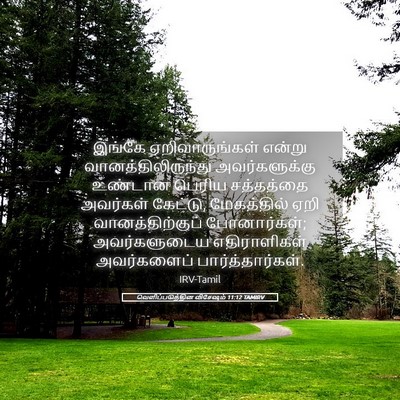 Picture 05 - வெளிப்படுத்தின விசேஷம் 11:12 TAMIRV - இங்கே - Bible Verse Picture