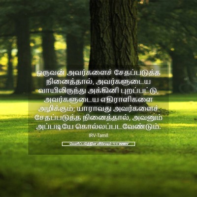 Picture 05 - வெளிப்படுத்தின விசேஷம் 11:5 TAMIRV - ஒருவன் அவர்களைச் - Bible Verse Picture