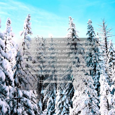 Picture 05 - வெளிப்படுத்தின விசேஷம் 11:6 TAMIRV - அவர்கள் - Bible Verse Picture