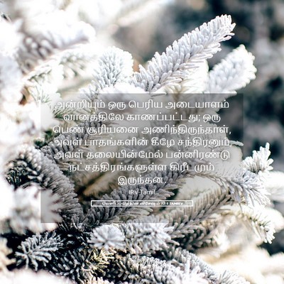 Picture 05 - வெளிப்படுத்தின விசேஷம் 12:1 TAMIRV - அன்றியும் ஒரு - Bible Verse Picture