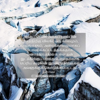 Picture 05 - வெளிப்படுத்தின விசேஷம் 12:14 TAMIRV - அந்தப் பெண் - Bible Verse Picture