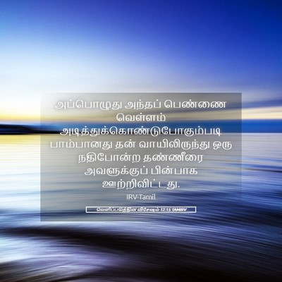 Picture 05 - வெளிப்படுத்தின விசேஷம் 12:15 TAMIRV - அப்பொழுது அந்தப் - Bible Verse Picture
