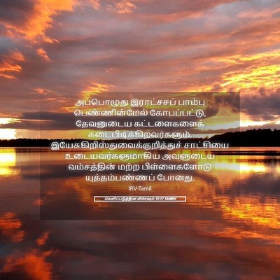Picture 05 - வெளிப்படுத்தின விசேஷம் 12:17 TAMIRV - அப்பொழுது - Bible Verse Picture