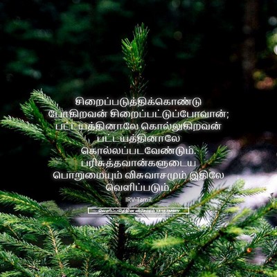 Picture 05 - வெளிப்படுத்தின விசேஷம் 13:10 TAMIRV -  - Bible Verse Picture