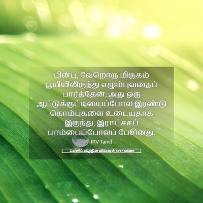 Picture 05 - வெளிப்படுத்தின விசேஷம் 13:11 TAMIRV - பின்பு, வேறொரு - Bible Verse Picture