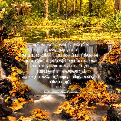 Picture 05 - வெளிப்படுத்தின விசேஷம் 13:3 TAMIRV - அதின் தலைகளில் - Bible Verse Picture