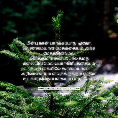 Picture 05 - வெளிப்படுத்தின விசேஷம் 14:14 TAMIRV - பின்பு நான் - Bible Verse Picture