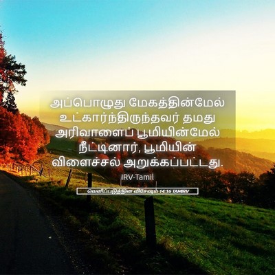 Picture 05 - வெளிப்படுத்தின விசேஷம் 14:16 TAMIRV - அப்பொழுது - Bible Verse Picture