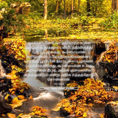 Picture 05 - வெளிப்படுத்தின விசேஷம் 14:18 TAMIRV - அக்கினியின்மேல் - Bible Verse Picture