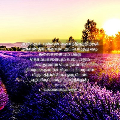 Picture 05 - வெளிப்படுத்தின விசேஷம் 17:3 TAMIRV - ஆவிக்குள் என்னை - Bible Verse Picture
