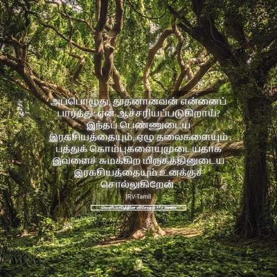 Picture 05 - வெளிப்படுத்தின விசேஷம் 17:7 TAMIRV - அப்பொழுது, - Bible Verse Picture
