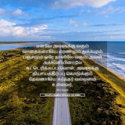 Picture 05 - வெளிப்படுத்தின விசேஷம் 18:8 TAMIRV - எனவே அவளுக்கு - Bible Verse Picture