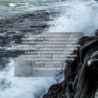 Picture 05 - வெளிப்படுத்தின விசேஷம் 19:20 TAMIRV - அப்பொழுது மிருகம் - Bible Verse Picture