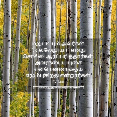 Picture 05 - வெளிப்படுத்தின விசேஷம் 19:3 TAMIRV - மறுபடியும் - Bible Verse Picture