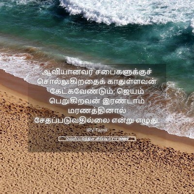 Picture 05 - வெளிப்படுத்தின விசேஷம் 2:11 TAMIRV - ஆவியானவர் - Bible Verse Picture