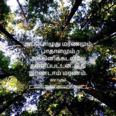 Picture 05 - வெளிப்படுத்தின விசேஷம் 20:14 TAMIRV - அப்பொழுது மரணமும் - Bible Verse Picture