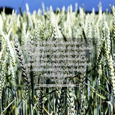 Picture 05 - வெளிப்படுத்தின விசேஷம் 21:14 TAMIRV - நகரத்தின் - Bible Verse Picture