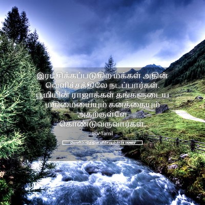Picture 05 - வெளிப்படுத்தின விசேஷம் 21:24 TAMIRV -  - Bible Verse Picture