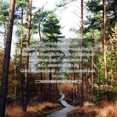 Picture 05 - வெளிப்படுத்தின விசேஷம் 22:14 TAMIRV - ஜீவமரத்தின்மேல் - Bible Verse Picture