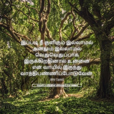 Picture 05 - வெளிப்படுத்தின விசேஷம் 3:16 TAMIRV - இப்படி நீ - Bible Verse Picture
