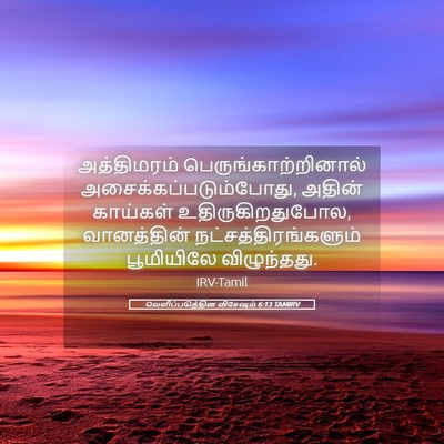 Picture 05 - வெளிப்படுத்தின விசேஷம் 6:13 TAMIRV - அத்திமரம் - Bible Verse Picture