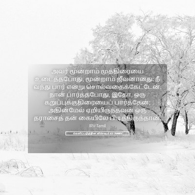 Picture 05 - வெளிப்படுத்தின விசேஷம் 6:5 TAMIRV - அவர் மூன்றாம் - Bible Verse Picture