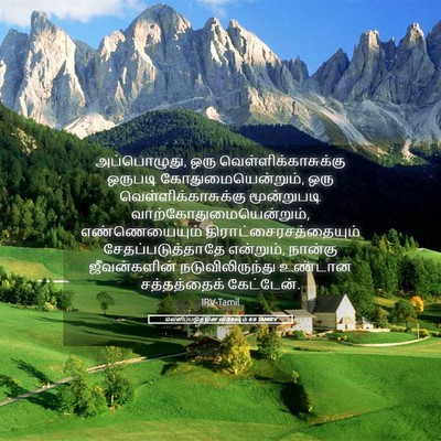 Picture 05 - வெளிப்படுத்தின விசேஷம் 6:6 TAMIRV - அப்பொழுது, ஒரு - Bible Verse Picture