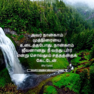 Picture 05 - வெளிப்படுத்தின விசேஷம் 6:7 TAMIRV - அவர் நான்காம் - Bible Verse Picture