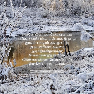 Picture 05 - வெளிப்படுத்தின விசேஷம் 7:15 TAMIRV - எனவே, இவர்கள் - Bible Verse Picture