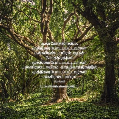 Picture 05 - வெளிப்படுத்தின விசேஷம் 7:5 TAMIRV -  - Bible Verse Picture