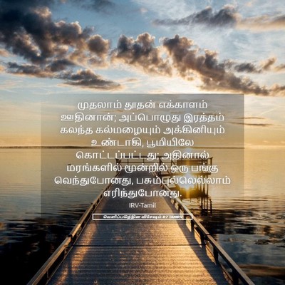 Picture 05 - வெளிப்படுத்தின விசேஷம் 8:7 TAMIRV - முதலாம் தூதன் - Bible Verse Picture