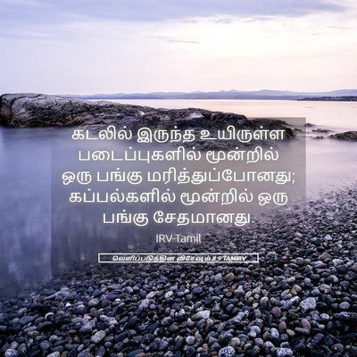 Picture 05 - வெளிப்படுத்தின விசேஷம் 8:9 TAMIRV - கடலில் இருந்த - Bible Verse Picture