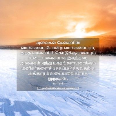 Picture 05 - வெளிப்படுத்தின விசேஷம் 9:10 TAMIRV - அவைகள் தேள்களின் - Bible Verse Picture