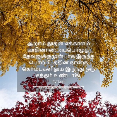Picture 05 - வெளிப்படுத்தின விசேஷம் 9:13 TAMIRV - ஆறாம் தூதன் - Bible Verse Picture