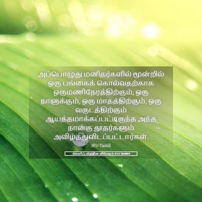 Picture 05 - வெளிப்படுத்தின விசேஷம் 9:15 TAMIRV - அப்பொழுது - Bible Verse Picture