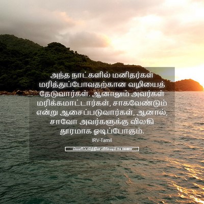 Picture 05 - வெளிப்படுத்தின விசேஷம் 9:6 TAMIRV - அந்த நாட்களில் - Bible Verse Picture