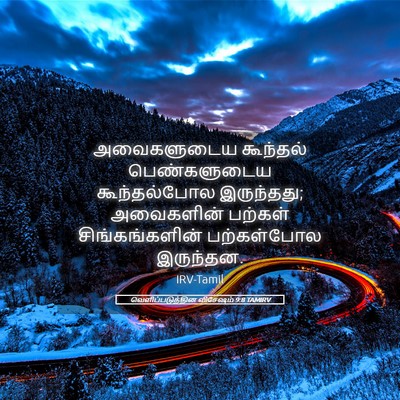 Picture 05 - வெளிப்படுத்தின விசேஷம் 9:8 TAMIRV - அவைகளுடைய கூந்தல் - Bible Verse Picture