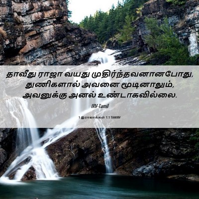 Picture 06 - 1 இராஜாக்கள் 1:1 TAMIRV - தாவீது ராஜா வயது - Bible Verse Picture