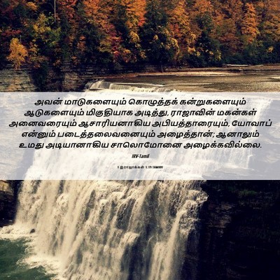 Picture 06 - 1 இராஜாக்கள் 1:19 TAMIRV - அவன் மாடுகளையும் - Bible Verse Picture