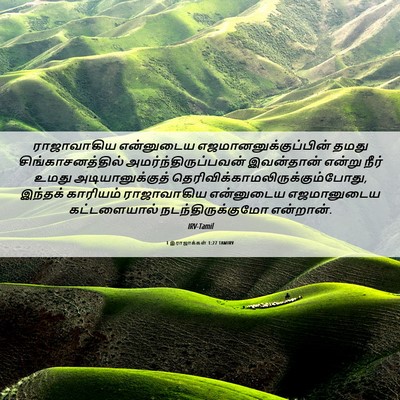 Picture 06 - 1 இராஜாக்கள் 1:27 TAMIRV - ராஜாவாகிய - Bible Verse Picture