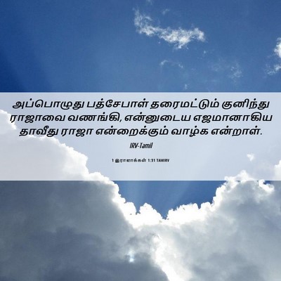 Picture 06 - 1 இராஜாக்கள் 1:31 TAMIRV - அப்பொழுது - Bible Verse Picture
