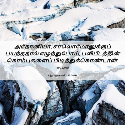 Picture 06 - 1 இராஜாக்கள் 1:50 TAMIRV - அதோனியா, - Bible Verse Picture
