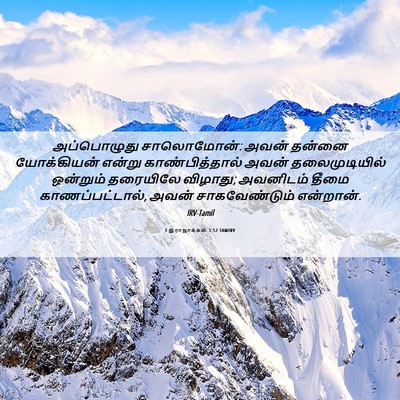 Picture 06 - 1 இராஜாக்கள் 1:52 TAMIRV - அப்பொழுது - Bible Verse Picture