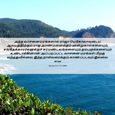 Picture 06 - 1 இராஜாக்கள் 10:12 TAMIRV - அந்த - Bible Verse Picture