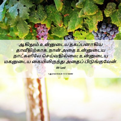 Picture 06 - 1 இராஜாக்கள் 11:12 TAMIRV - ஆகிலும் உன்னுடைய - Bible Verse Picture