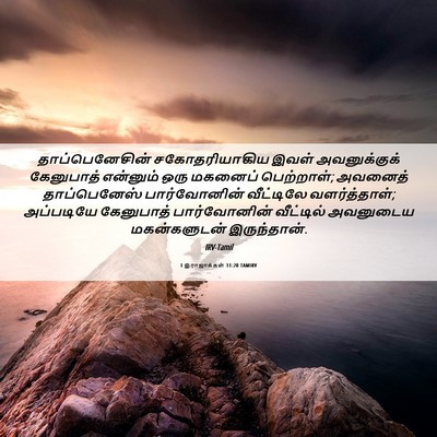 Picture 06 - 1 இராஜாக்கள் 11:20 TAMIRV - தாப்பெனேசின் - Bible Verse Picture